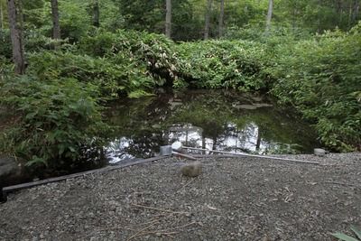 s-_MG_0960