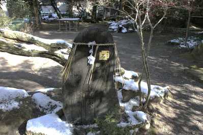 439e3954.jpg