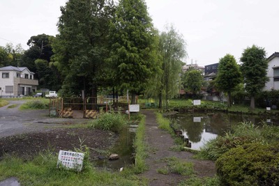 44f76967.jpg