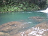 493e639e.jpg