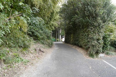 4a3c7677.jpg