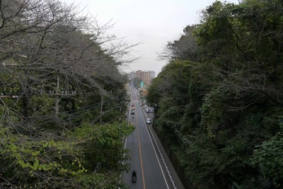 4b164381.jpg