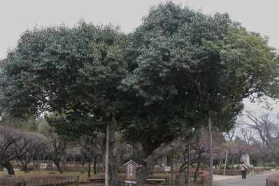 4d3ef947.jpg
