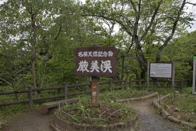 s-_MG_8675