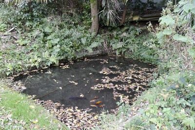 529d63d1.jpg