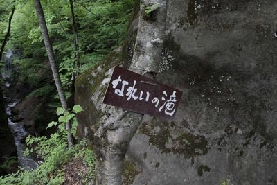 s-_MG_8404