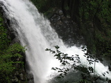 5c088aac.jpg