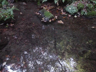 62fdf64f.jpg