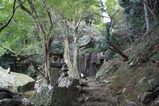 65010940.jpg