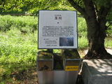 6e35cb53.jpg