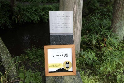 78f7a40e.jpg