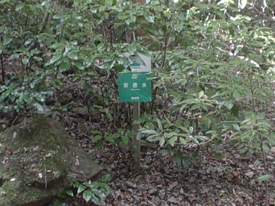834dc482.jpg