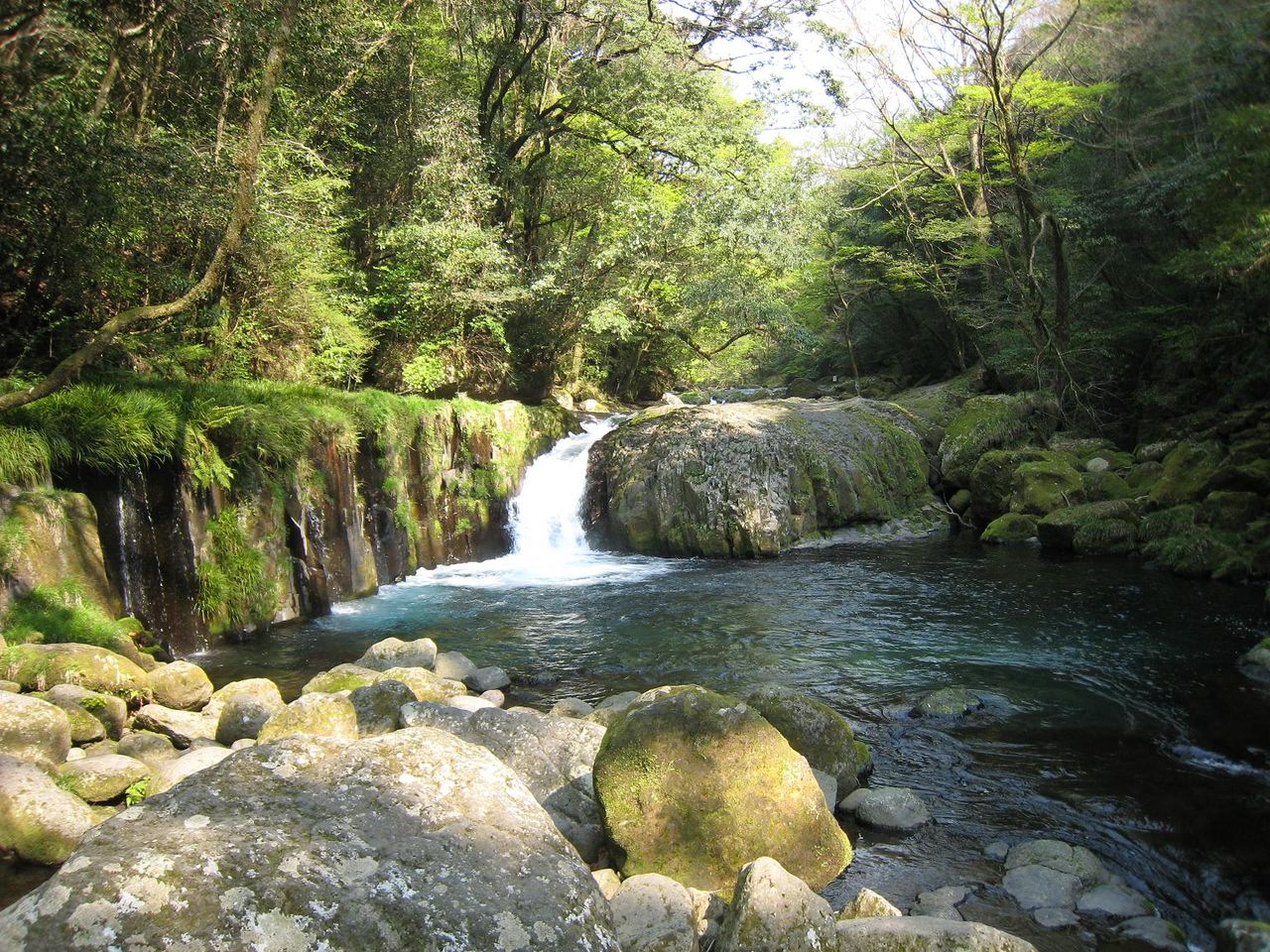 熊本県菊池市 菊池水源 日本名水探訪
