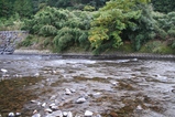 8baec8a6.jpg