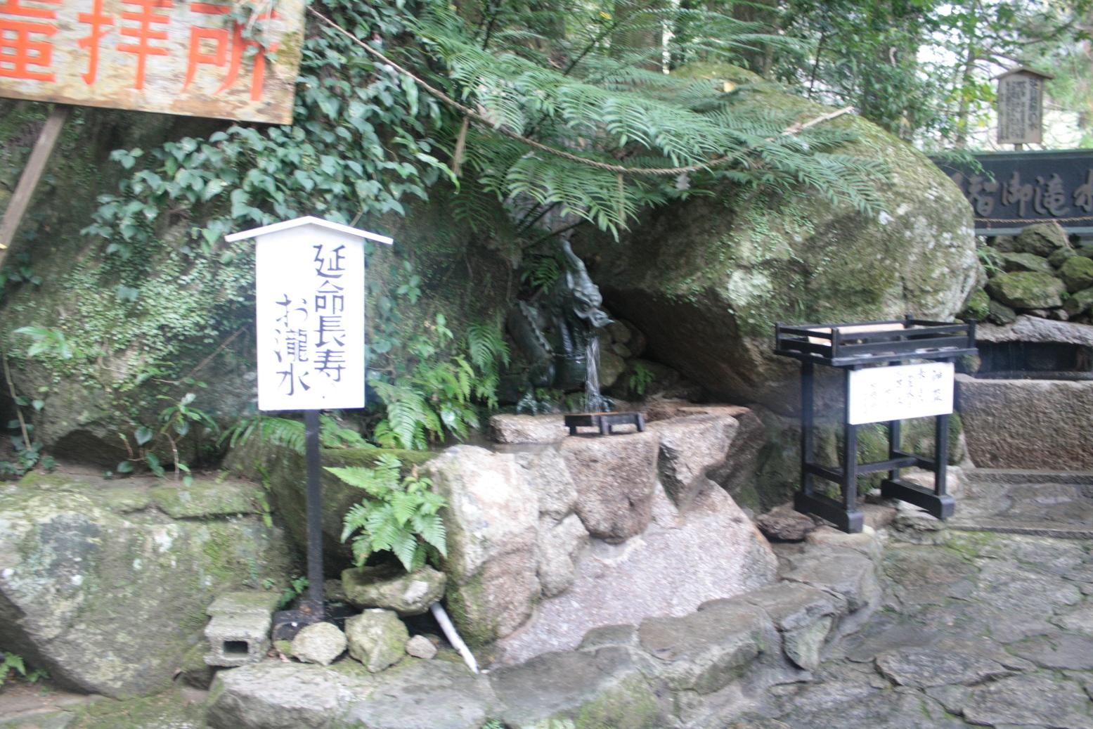 8f07dfae.jpg