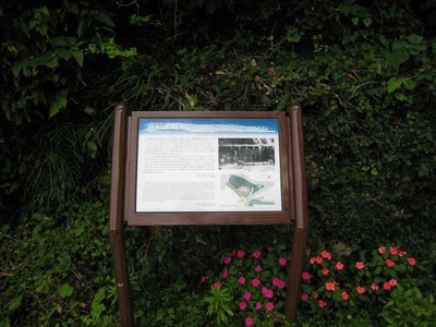 91052a54.jpg