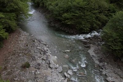 s-_MG_8452