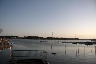 手賀沼