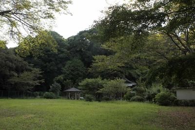 s-_MG_1351