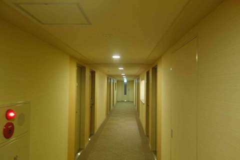 s-_DSC0706