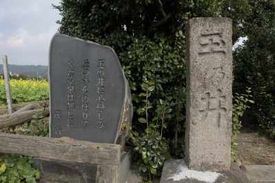 c01835fd.jpg