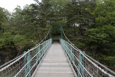 s-_MG_8644