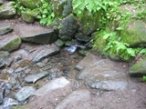 d835d039.jpg