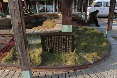 d9218772.jpg