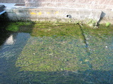 e9915c8d.jpg