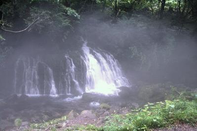 f243754c.jpg