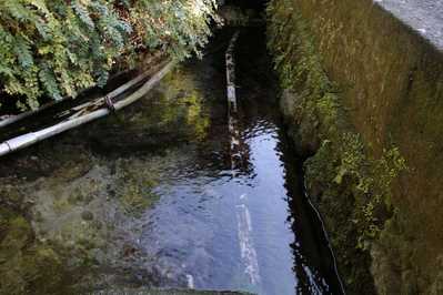 f981b9f6.jpg