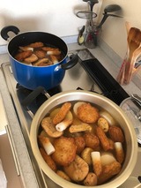 二家族分