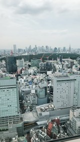 高みから