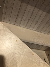 IMG_0788