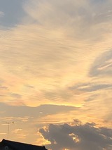 IMG_0687