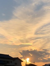 IMG_0688