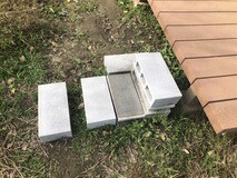 IMG_1352