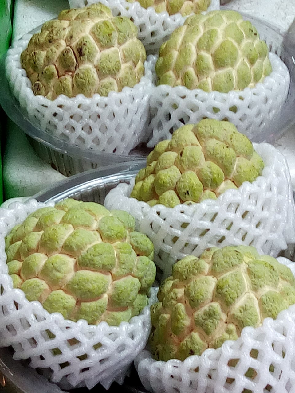 希少　台湾果樹　ピンポン なんじゃこりゃなフルーツみ～つけた～ピンポンの木の実 : 台湾