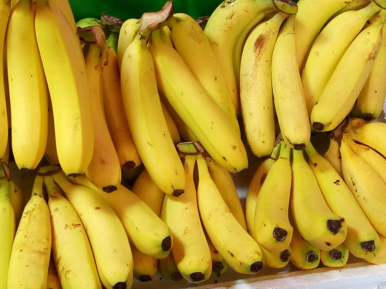 なんじゃこりゃなフルーツみ～つけた～ピンポンの木の実 : 台湾