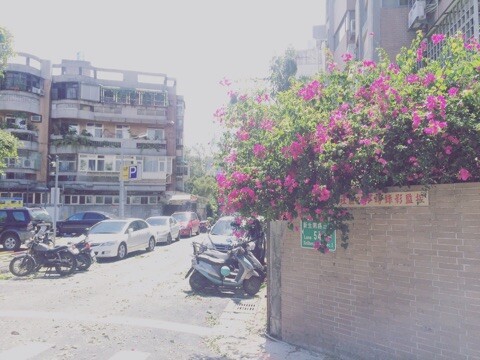 {7E3E50E2-44D0-474D-ACF2-3181EF40AEBD}