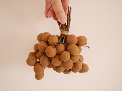 {C1FCB65F-7E79-4CFA-8296-DB69DAF2EBB7}