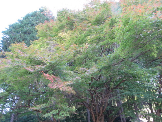 08ac8212.jpg