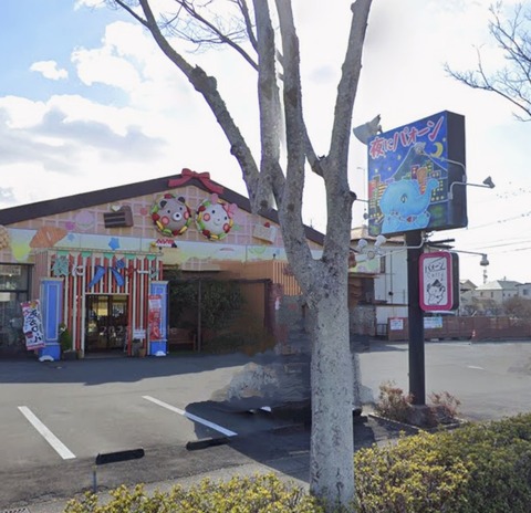 Screenshot_20250624_114845_Maps~2