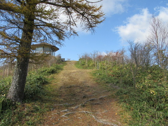 3498511c.jpg