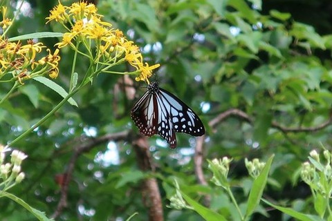 img_11_m