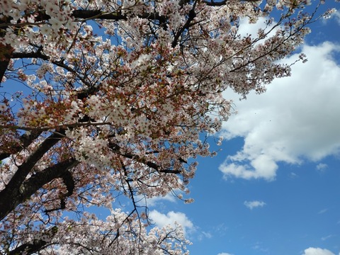 IMG00359_HDR - コピー