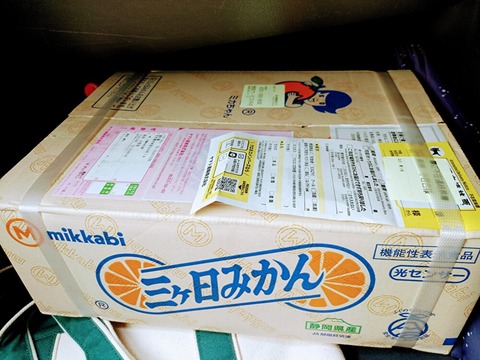 JwWn4dlxKmtG6py1669352074