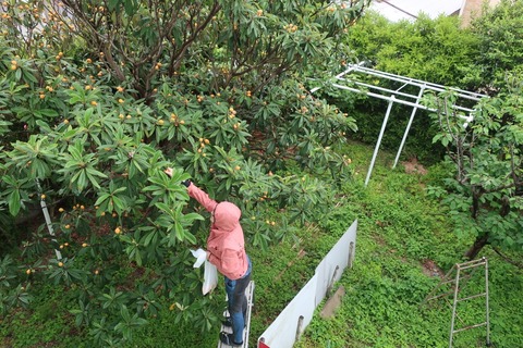 20230529135634_IMG_4748