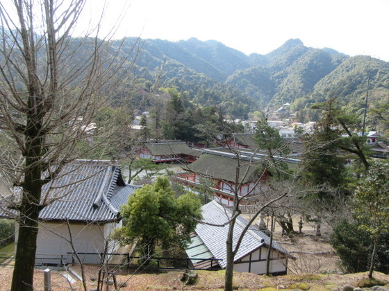 8a9773c6.jpg