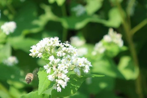 img_9_m